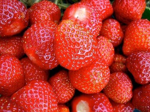 TumblrFood2 tweet picture