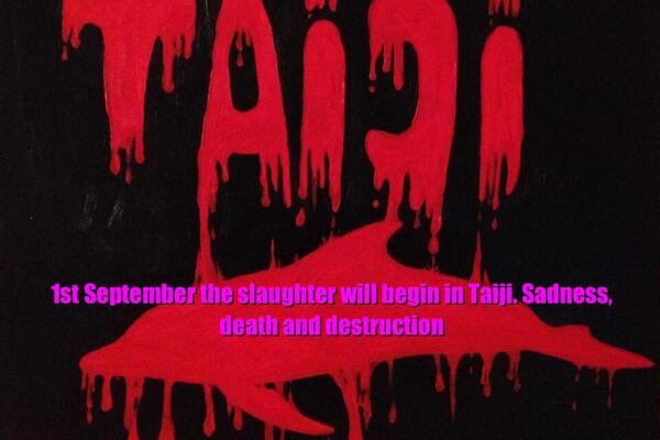 flipper dolphin tweet media