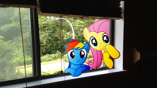 Flutterdash13's tweet image. RD: Flutters and I love visiting Earth and checking out all of you awesome humans! #Flutterdash