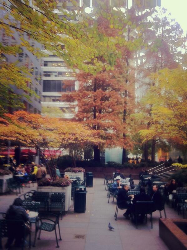 duduyang1's tweet photo. late fall@midtown http://t.co/Zt5EGDHnDM