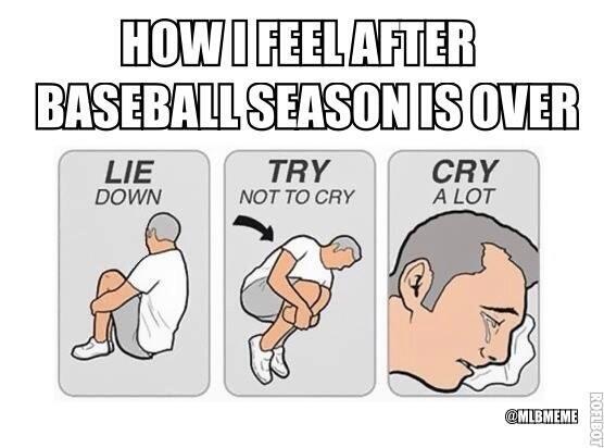 BaseballGrind3 tweet picture