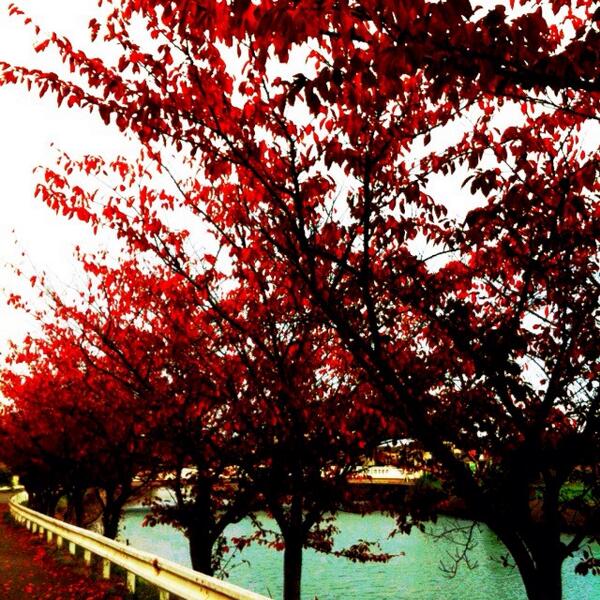 yucchanttt's tweet photo. http://t.co/OV971Gr849