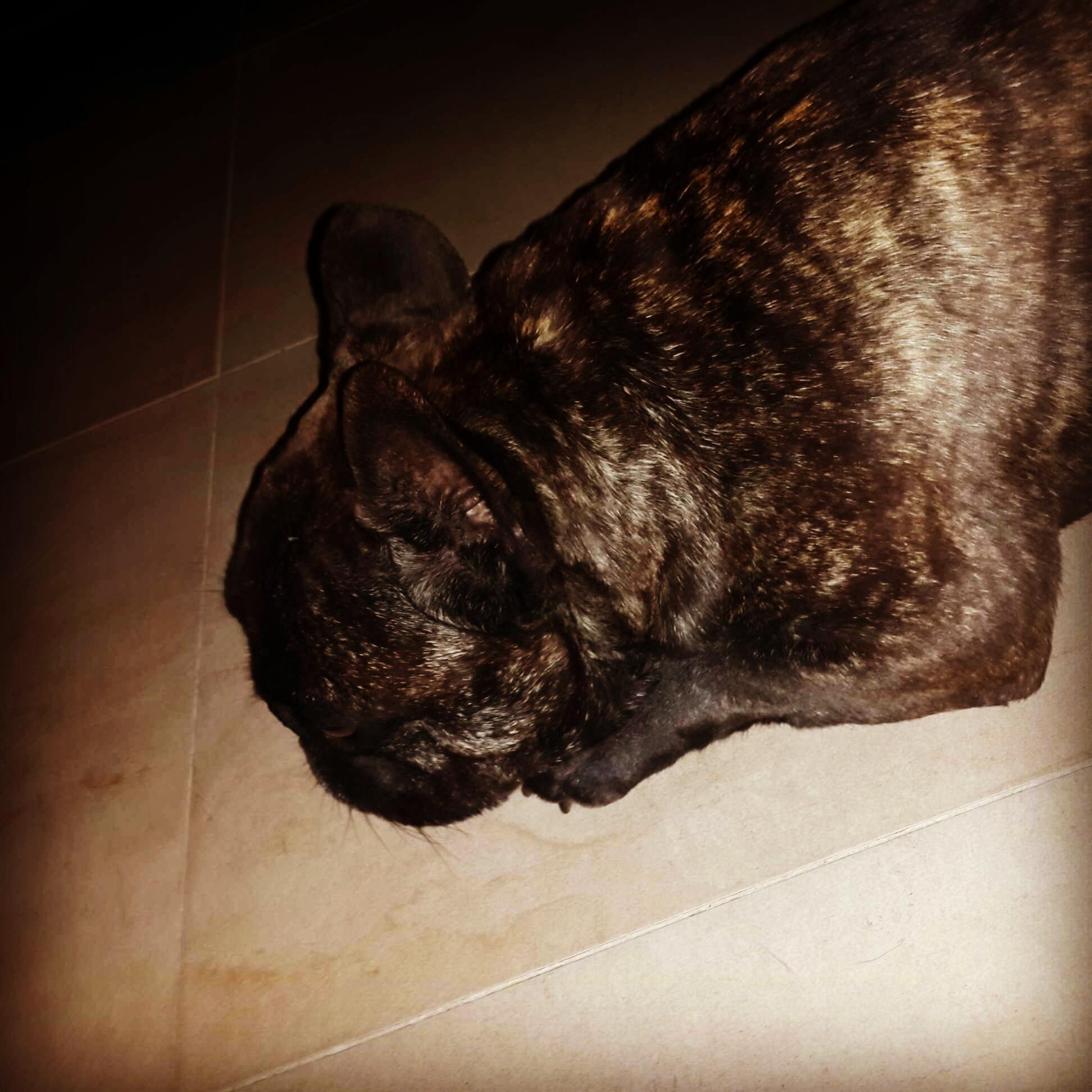 Link permanente da imagem incorporada