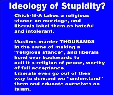 SweetFreedom29's tweet photo. Ideology of Stupid #p2 #Uniteblue #Liberals http://t.co/nobZ9Xzjbl