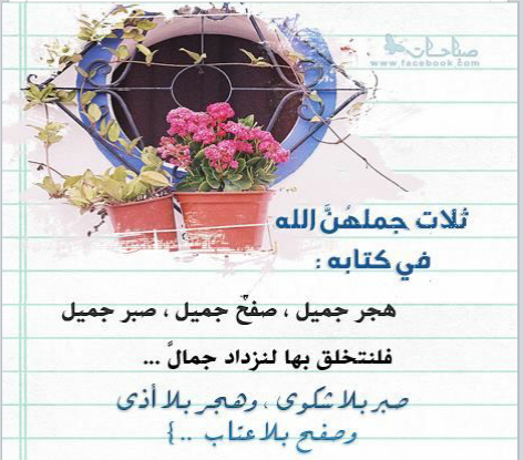 RobaM4 tweet picture
