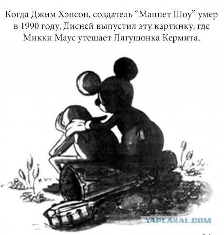 e_xpedition's tweet photo. http://t.co/V6N51a6rOQ