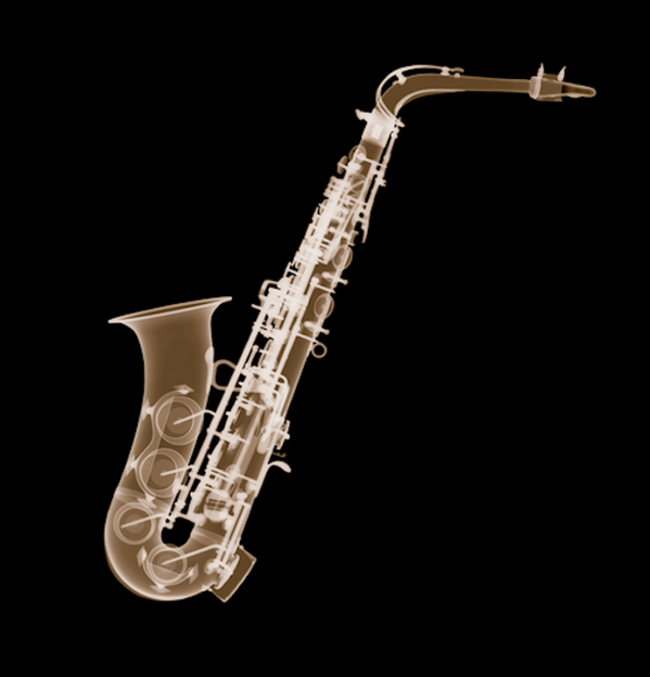 Bitacora's tweet photo. X-Ray #Photo! Nick Veasey. 
http://t.co/lNNN4LDyL9 #Fotografía http://t.co/VcMksNnwYM