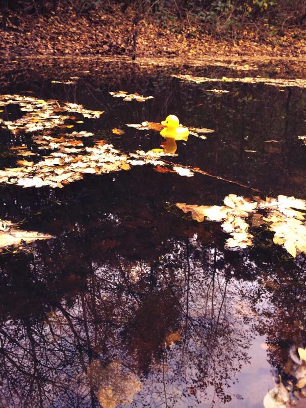 PatchIs28's tweet image. I'm waiting #Quack #Quack