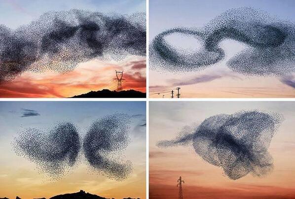 Powerful Pictures tweet media