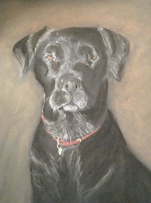 Equine and canine portraits now undertaken.