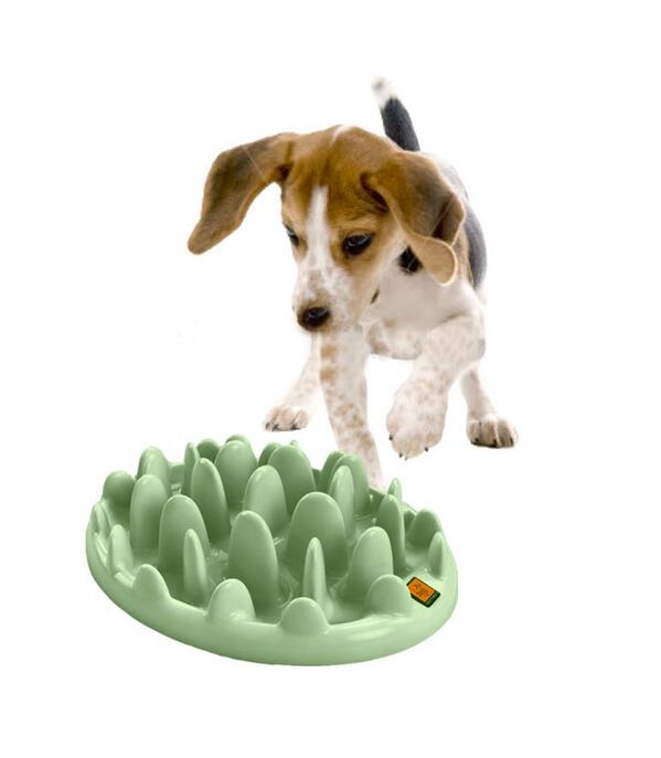 VividGiftIdeas tweet picture