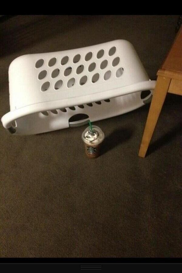 WolfpackAlan's tweet photo. How to catch a white girl http://t.co/wyMs7RDmu4