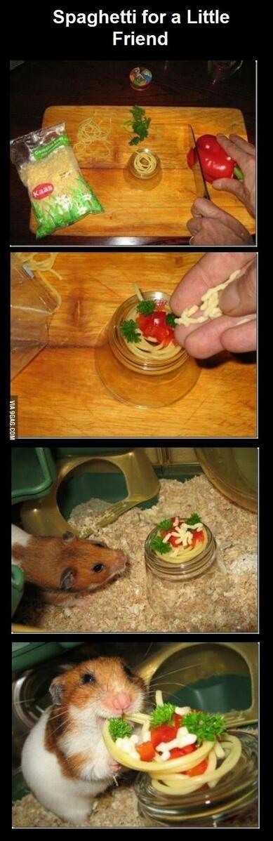 brittsw's tweet photo. Probably the cutest thing. #cute http://t.co/dk4CgTkVs3 via @9GAG http://t.co/upCWhgX50l