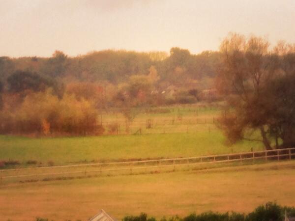 bare_sam's tweet image. Another happy Sunday.