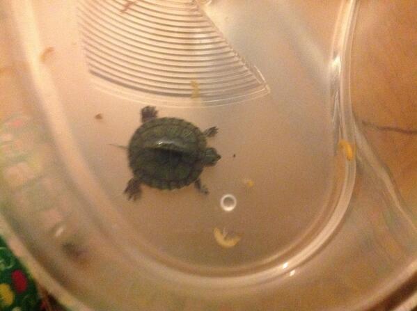 prensimmm benim herseyim... :p