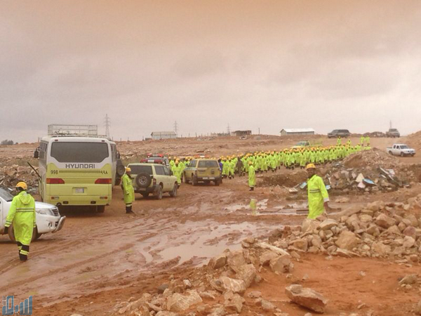 عرض الصورة على تويتر