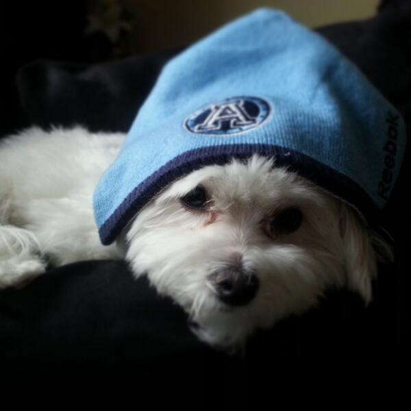 FIL_O_MENA's tweet photo. It wouldn't be game day without our goodluck tweet @mkkstevenson ....@TorontoArgos gooooo argo's... http://t.co/oAyc3mqySs