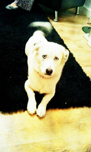 Oh,brittany:) tweet media