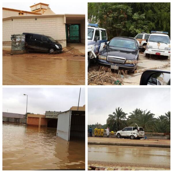 عرض الصورة على تويتر