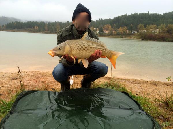 Une nouvelle carpe a mon compteur. 
c'est sur naturepeche.fr  
#naturepeche #carpe #pechealacarpe #bigcarp