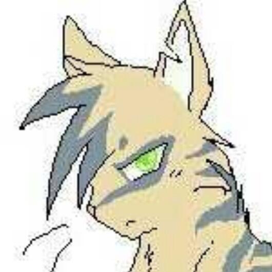 Wolves_Cats's tweet photo. @DcIvyKit fine, thank you. http://t.co/KBSgr3WNQC