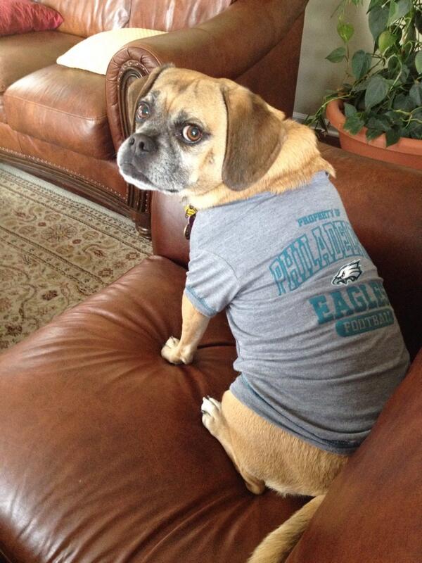 lizekay's tweet photo. @RealGlenMacnow this is my dog Blake. I knew if I bought him this shirt the Eagles would final win at home! http://t.co/VNy3n2ogjq