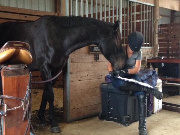 SoCoFilms's tweet image. #AHNB