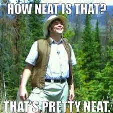 Ellyn_Schreiber's tweet image. #geedangit #neaturewalks #aspentree