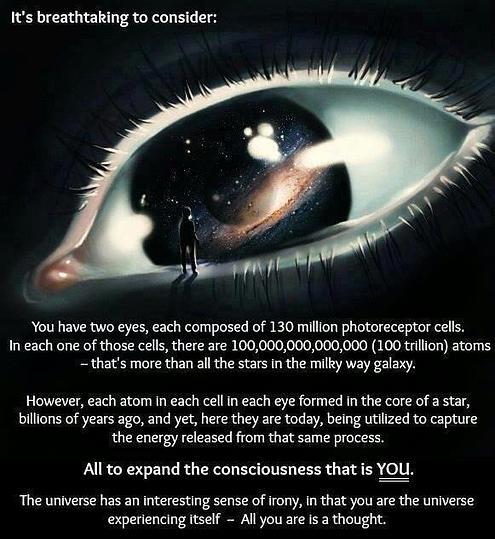 WhyInterested tweet picture