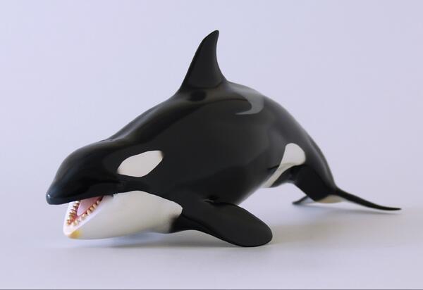 真鯱 Na Twitteri シャチ 雌 は最強のシャチ開口フィギュアを作るつもりで制作しました こちらも少し在庫あるので 購入希望の方はblog Http T Co Eydu3gx5n6 をご覧ください なまけっと Http T Co Xq6qpzg2rf
