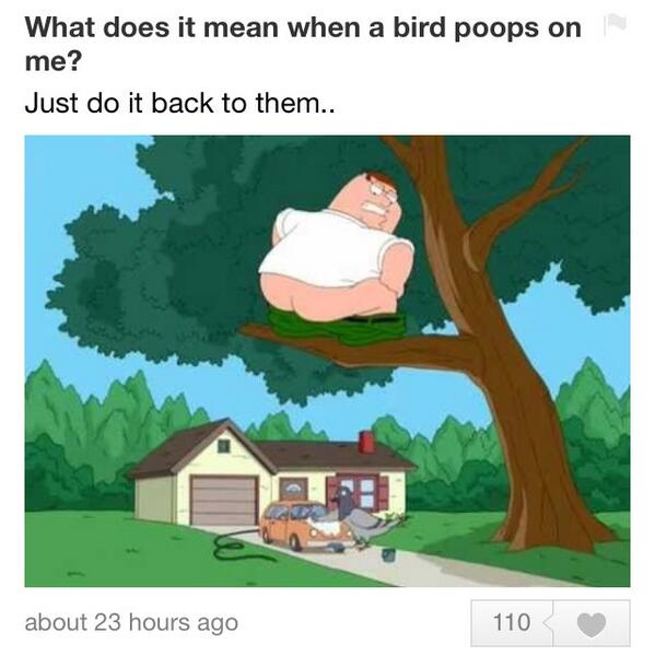 Askfmfunny's tweet photo. The best answer for that question of the day. http://t.co/lX4Il3TnL8