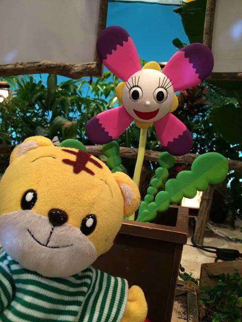 公式 こどもちゃれんじ編集部 しまじろうと くじらのうた に登場するキャラクター ハマダイコンのハマちゃん ヤドカリ監督のアシスタントなんですよ 映画 しまじろうと くじらのうた ｈｐはこちら Http T Co Aoamedmdwk Http T Co 0a6huj3naz