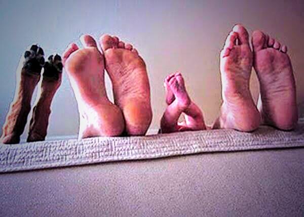 kill_ot's tweet image. Evdeki huzur #ciplakayaklar