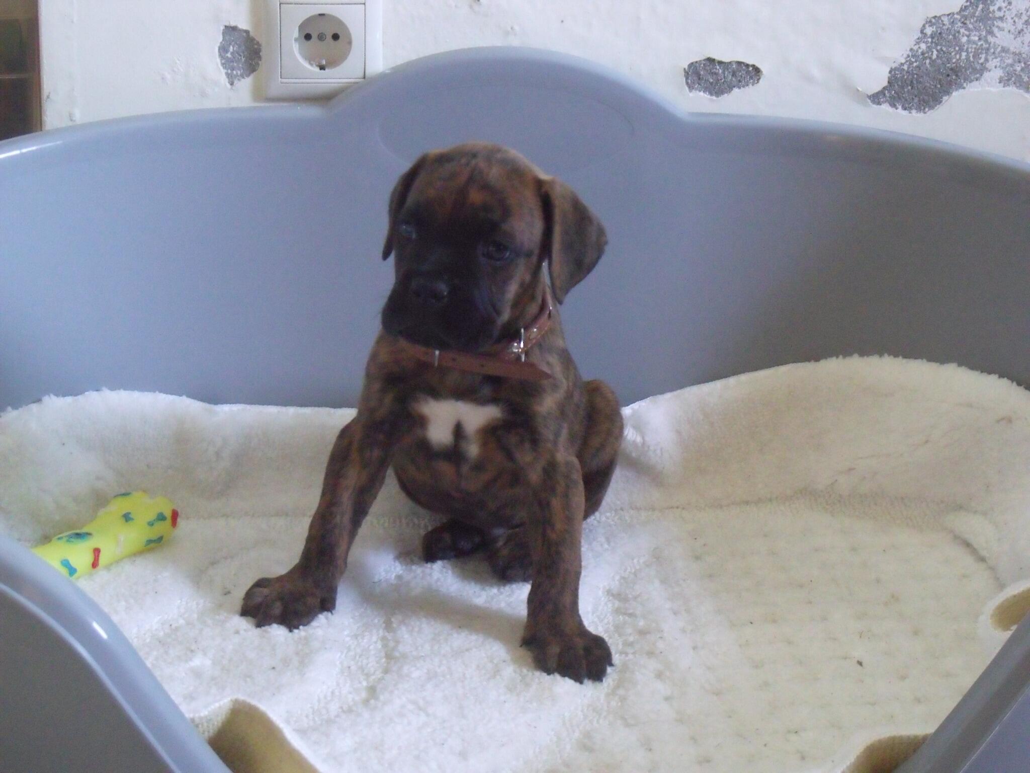 Permalien de l'image int&eacute;gr&eacute;e