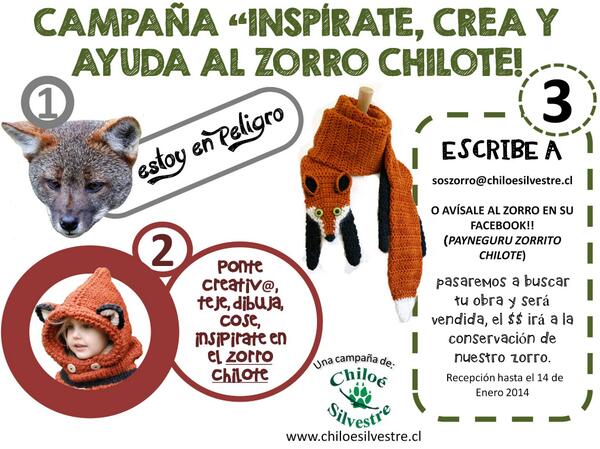 Los invitamos a todos a ayudar al Zorro Chilote con su creatividad!