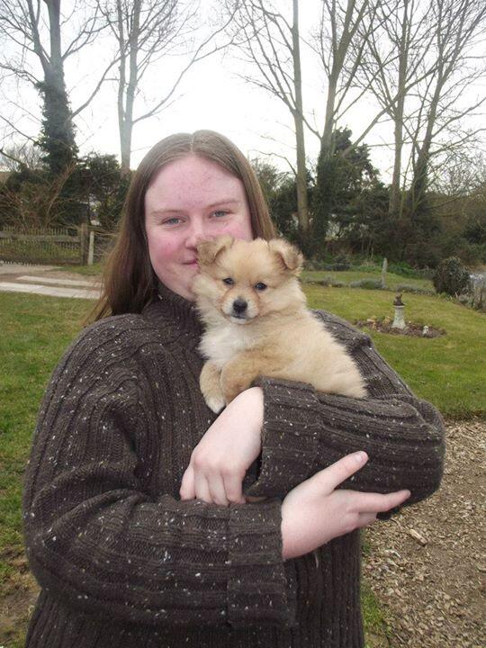 samscourse's tweet image. 