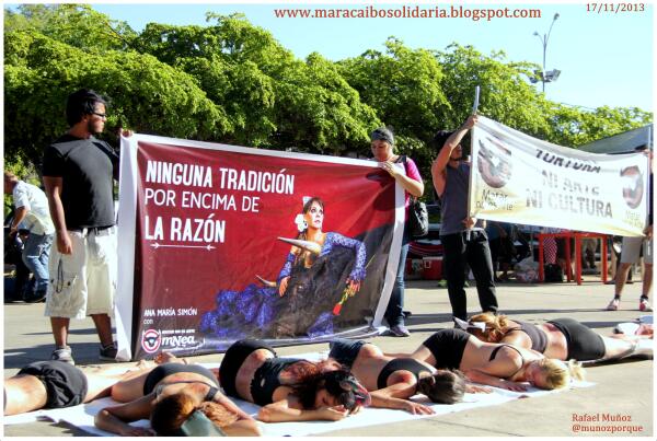 munozporque's tweet photo. Colectivos se unieron a favor de la vida de los toros en Maracaibo  http://t.co/N6qWRjHJKL @albaciudad
