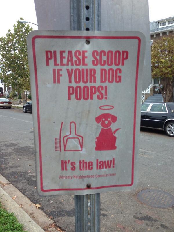 PetButlerMD's tweet image. It's the law!