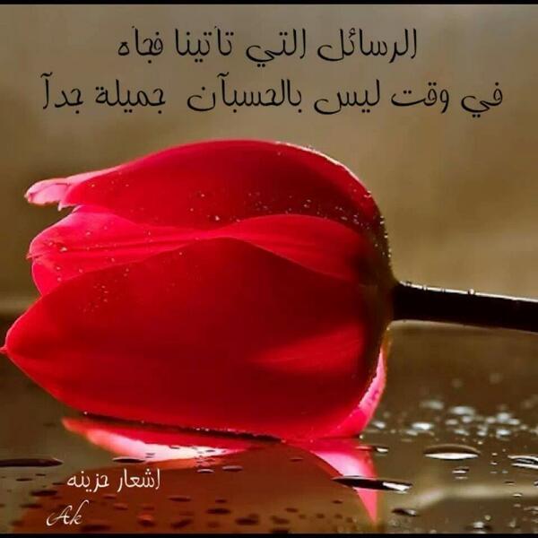 رابط دائم للصورة المُضمّنة