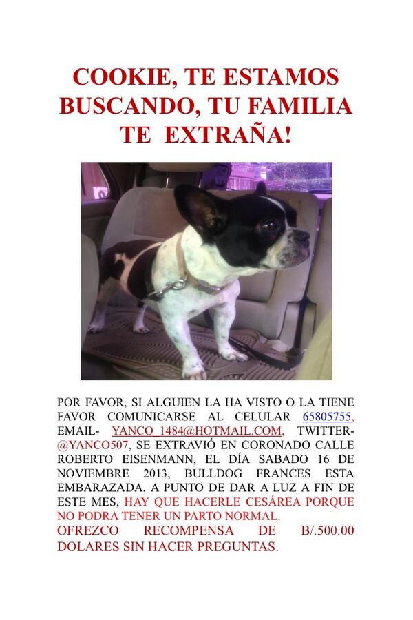 <a href="/LuisCasis20/">Luis Casis</a> por favor RT  Perrita extraviada en Coronado, RECOMPENSA de 500 dólares, sin hacer preguntas.