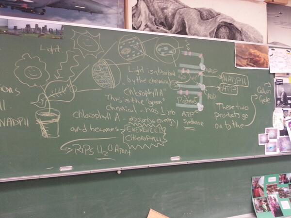 MrP_Bio's tweet image. #Bio30  Light reactions - #chalkrules