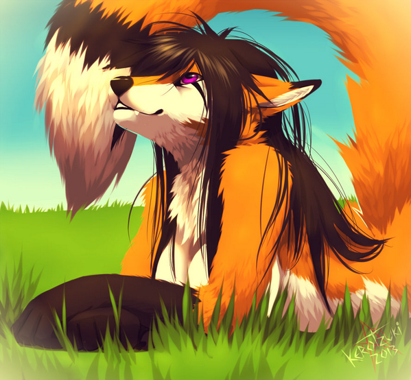 JadeTheFox's tweet photo. Hey Everyone I'm Jade Foxy and I'm a fox and I like to hangout and go for walks in the woods http://t.co/wHkVVSRKg0