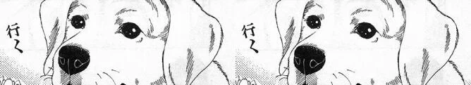https://t.co/RQhHO4e7ws
#トリプルオレはやるぜゲーム #shindanmaker
