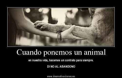 AnimalMenu's tweet image. Ellos no lo harian.