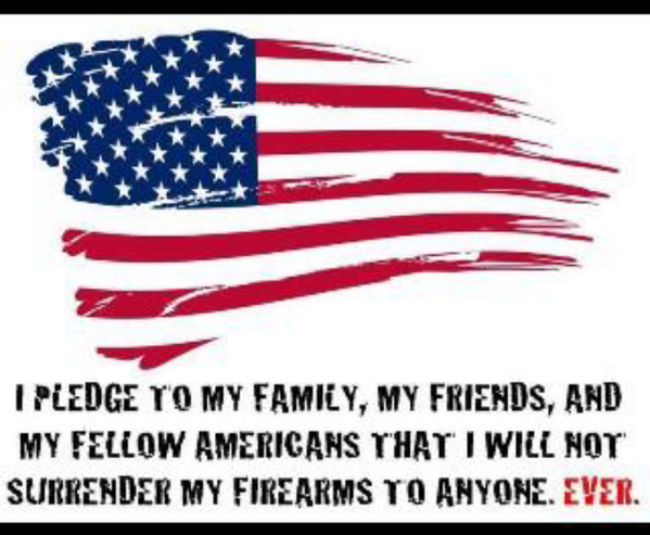 RightWingTX's tweet photo. Our founding fathers refused to turn their guns over to the British. I refuse to turn my guns over to the Liberals http://t.co/8maDKBqZdH