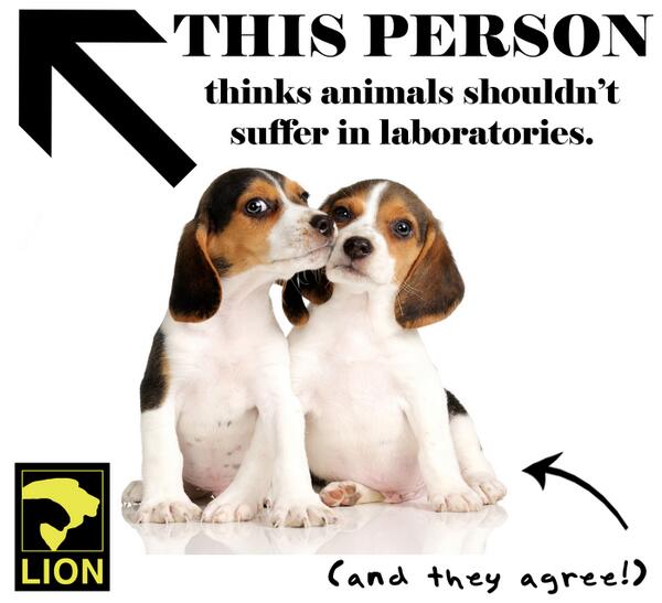 RT if you agree!

#endanimaltesting #animaltesting #cosmetictesting #animalsarenotours