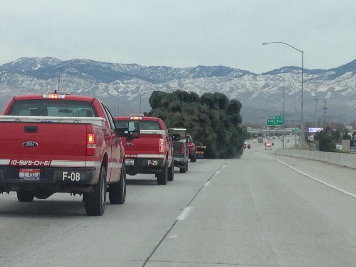 Embedded image permalink