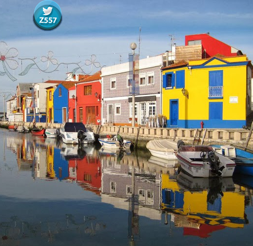 أفيرو، البرتغال. #غرد_بصورة