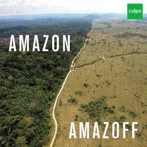 Ms Obsniuk 15 500 Sq Km Of The Amazon Rainforest Is Cut Down Every Year Amazon Amazoff Amazgone Http T Co Up0fimutgd