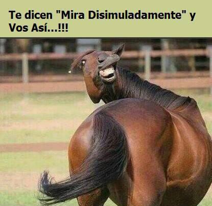 mapargio's tweet image. 